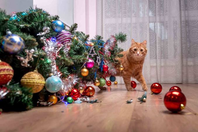 Albero di Natale: ecco come proteggerlo dai gatti