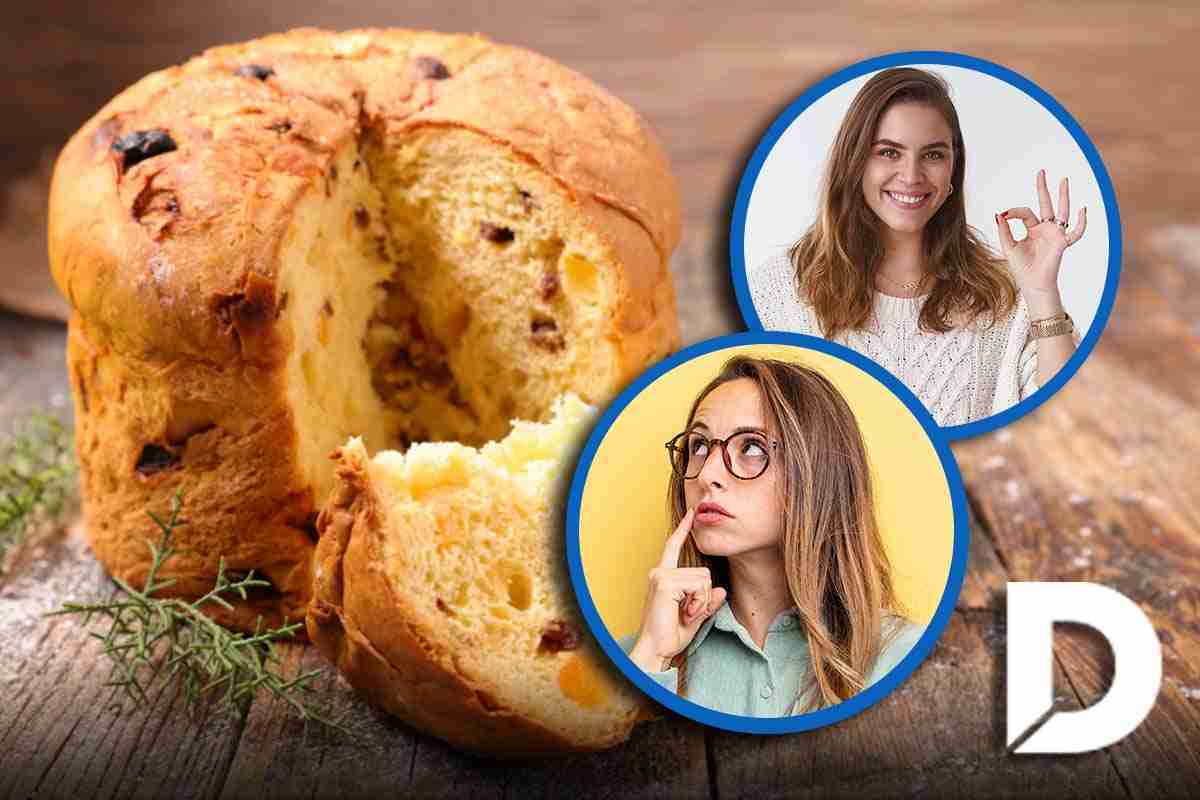 Panettone: così riconosci il migliore | i trucchi che funzionano