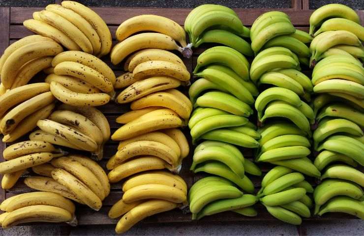 banana frutto ricco di vitamine