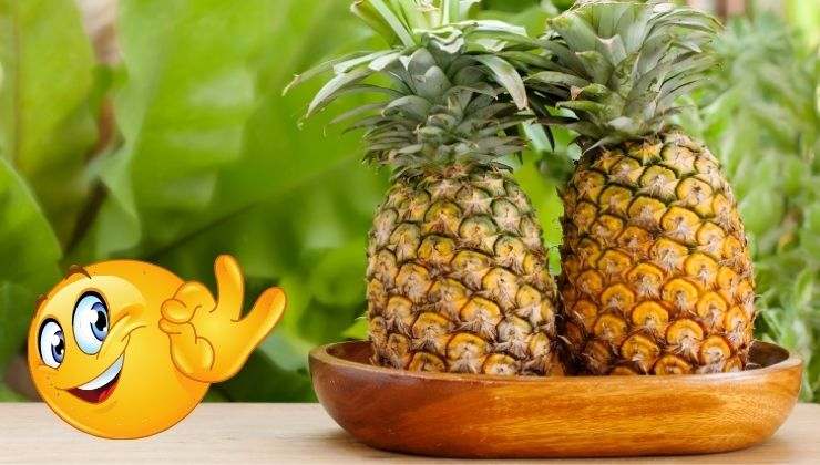 insonnia ananas